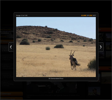 Lucozade Energy Timeline wallchart...